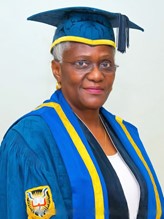 Professor Aderonke M BAIYEROJU
