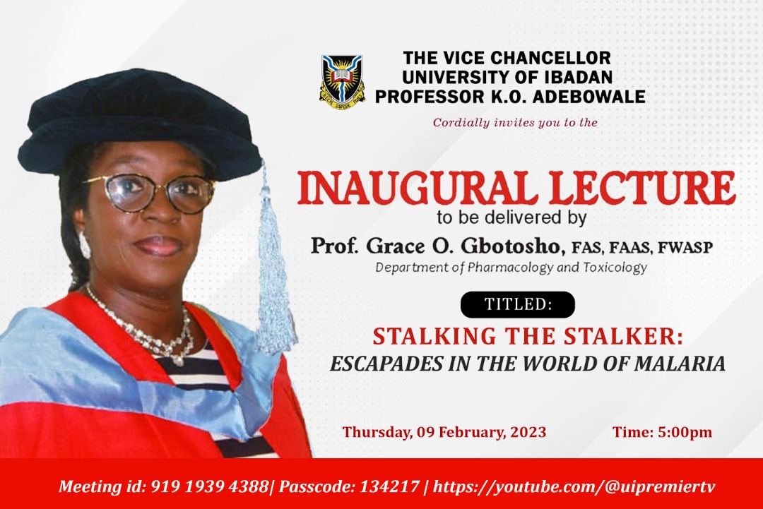 Prof Grace Gbotosho 2