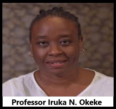 Professor Iruka N. Okeke